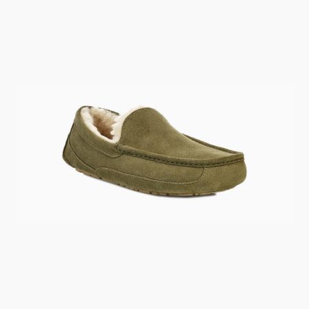 UGG Ascot - Tøfler Herre - Grønn (NO-C542)